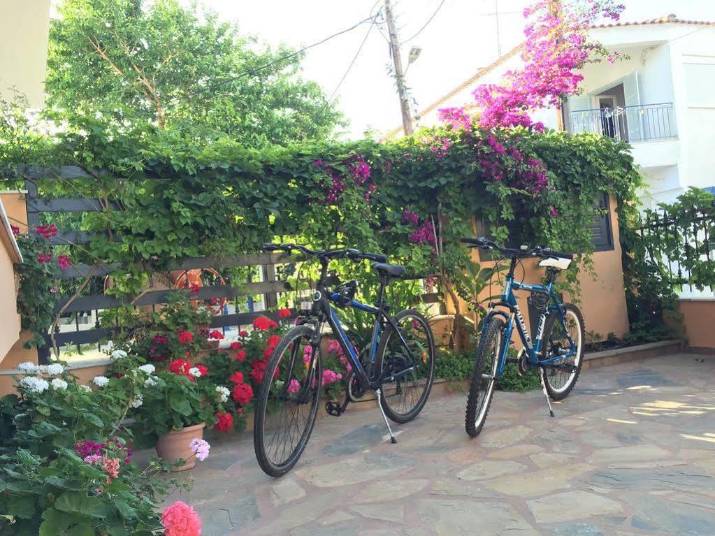 Villa Despina Green Suites Polychrono Luaran gambar